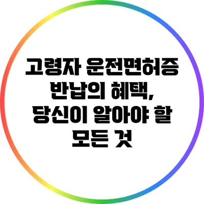 고령자 운전면허증 반납의 혜택, 당신이 알아야 할 모든 것
