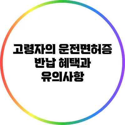 고령자의 운전면허증 반납 혜택과 유의사항