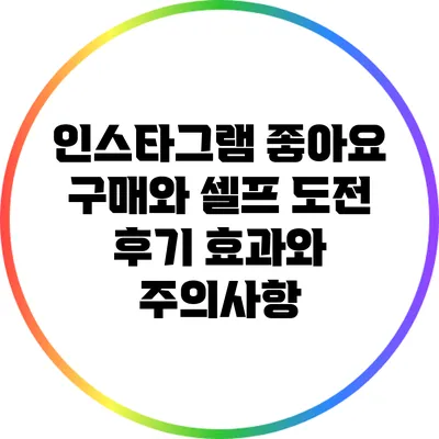 인스타그램 좋아요 구매와 셀프 도전 후기: 효과와 주의사항