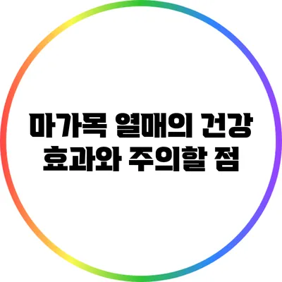 마가목 열매의 건강 효과와 주의할 점