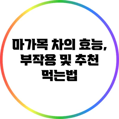 마가목 차의 효능, 부작용 및 추천 먹는법