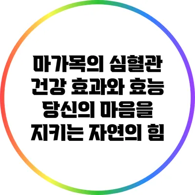 마가목의 심혈관 건강 효과와 효능: 당신의 마음을 지키는 자연의 힘
