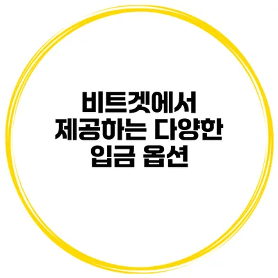 비트겟에서 제공하는 다양한 입금 옵션